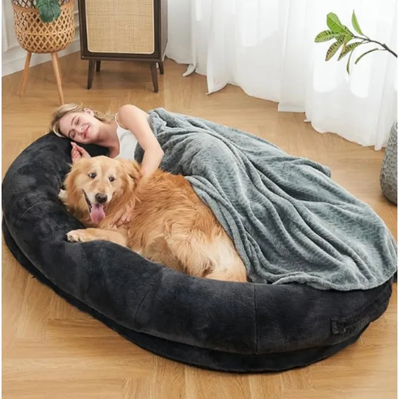 Huge shops dog beds