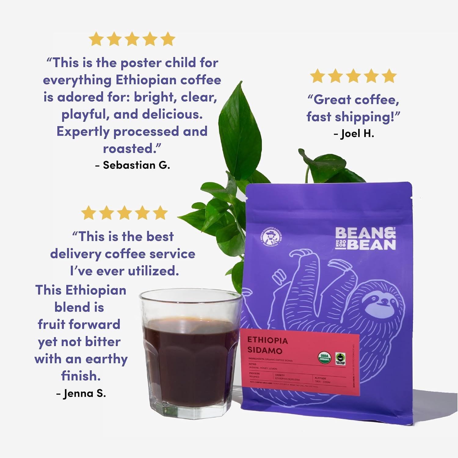 Bean & Bean Ethiopia Sidamo Single Origin Coffee – Roasted to Order Delicate & Refreshing Jasmine, Lemon & Honey Flavored Freshly Roasted Coffee Beans – Fair Trade Ethiopian Organic Whole Bean, 11Oz