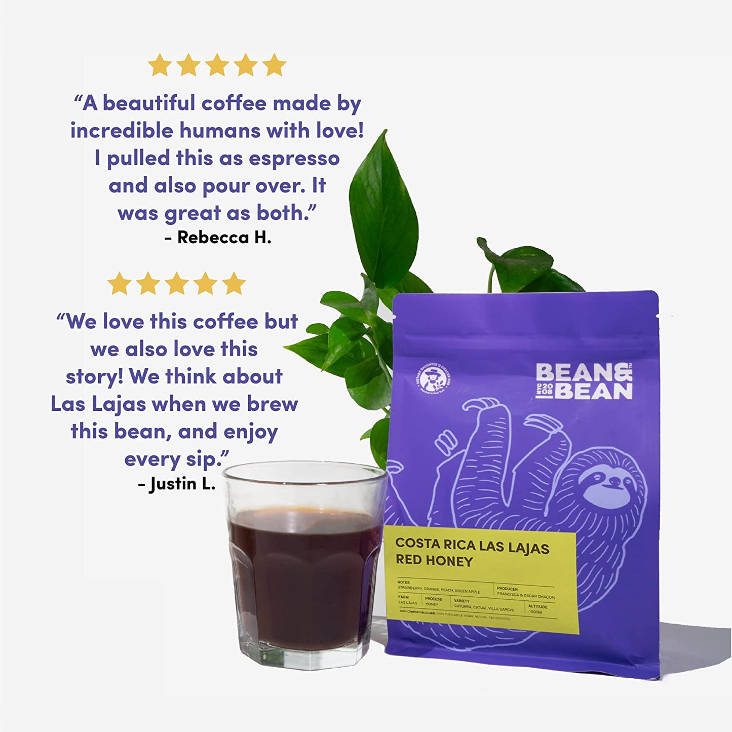 Bean & Bean Costa Rica Honey Coffee - Single Origin Coffee – Rich, Aromatic Organic Whole Bean Coffee with Notes of Orange, Strawberry & Vanilla - Fair Trade Costa Rican Coffee Beans, 12Oz