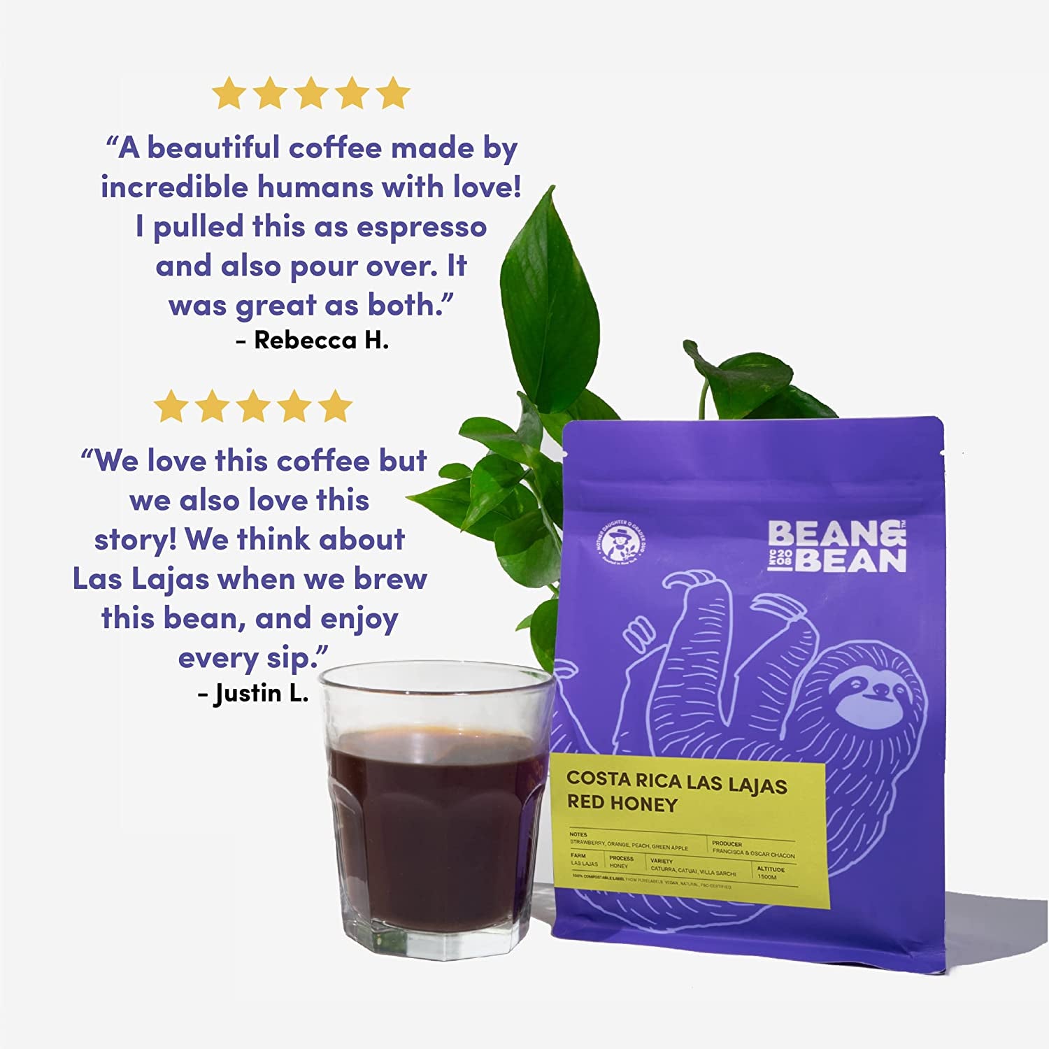 Bean & Bean Costa Rica Honey Coffee - Single Origin Coffee – Rich, Aromatic Organic Ground Coffee with Notes of Orange, Strawberry & Vanilla - Fair Trade Costa Rican Coffee (Ground), 12Oz