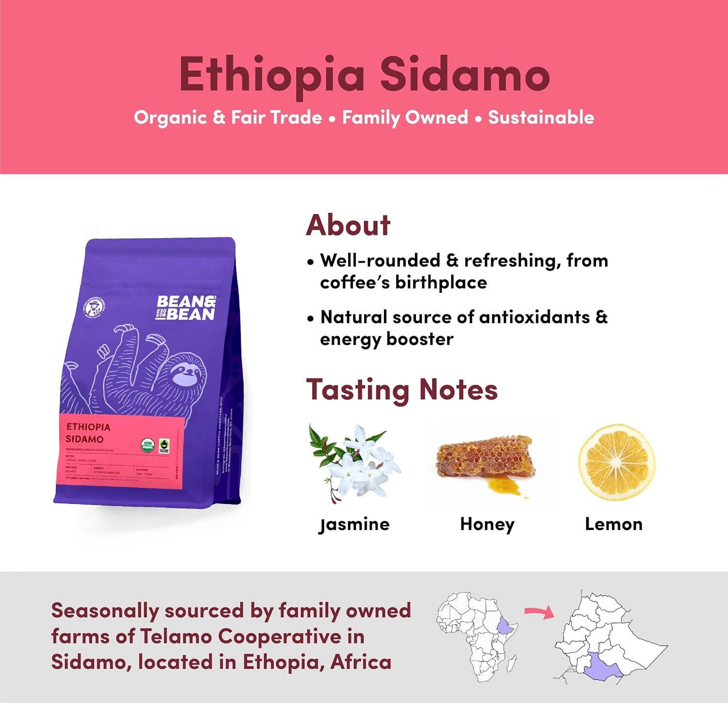 Bean & Bean Ethiopia Sidamo Single Origin Coffee – Roasted to Order Delicate & Refreshing Jasmine, Lemon & Honey Flavored Freshly Roasted Coffee Beans – Fair Trade Ethiopian Organic Whole Bean, 11Oz