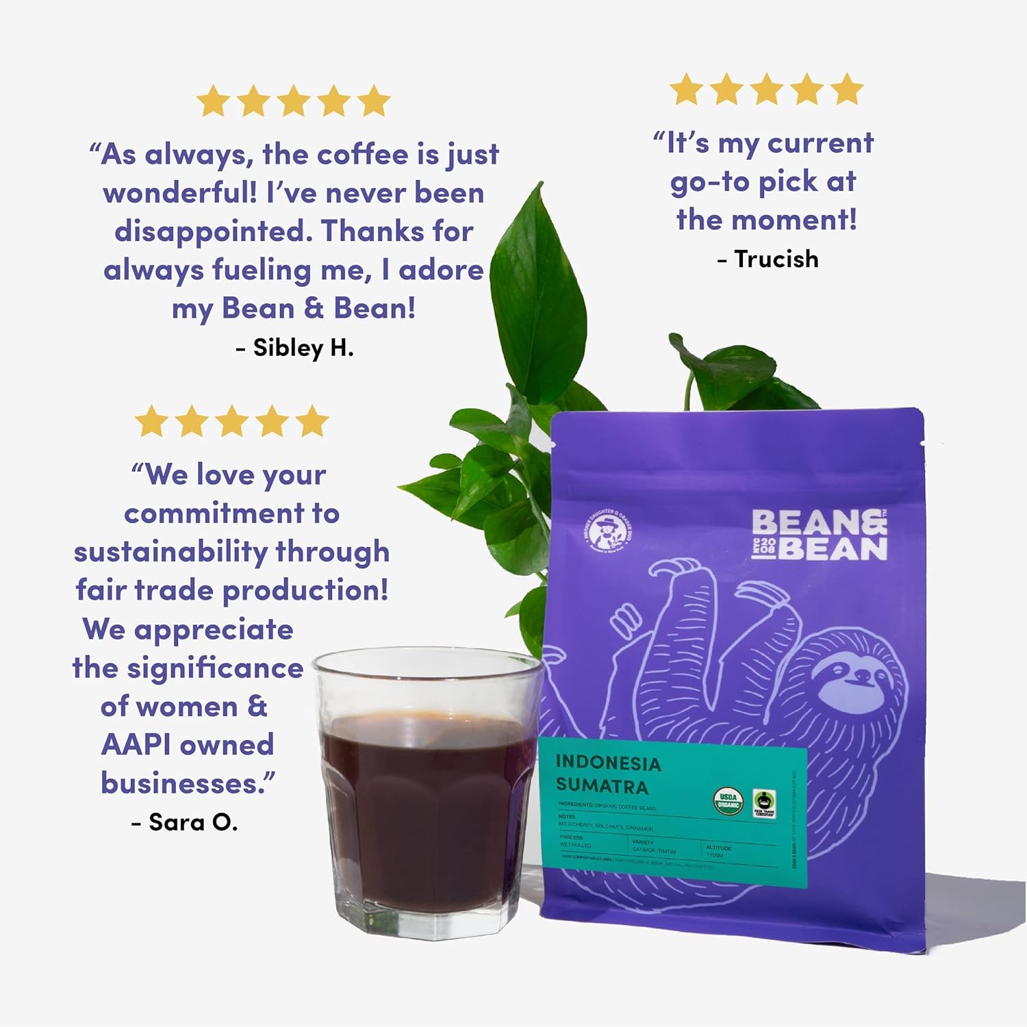 Bean & Bean Indonesia Sumatra Single Origin Coffee – Roasted to Order Indonesian Organic Coffee Beans – Full Bodied, Rich & Earthy Sumatra Coffee – Freshly Roasted Fair Trade Whole Bean Coffee, 11Oz