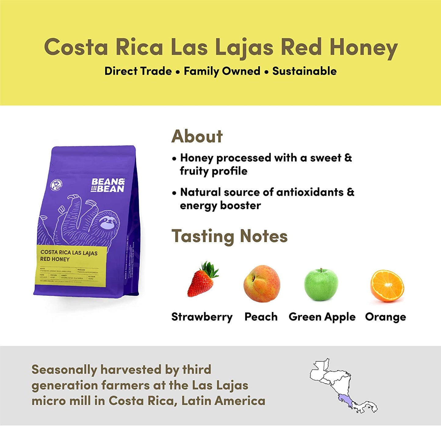 Bean & Bean Costa Rica Honey Coffee - Single Origin Coffee – Rich, Aromatic Organic Whole Bean Coffee with Notes of Orange, Strawberry & Vanilla - Fair Trade Costa Rican Coffee Beans, 12Oz