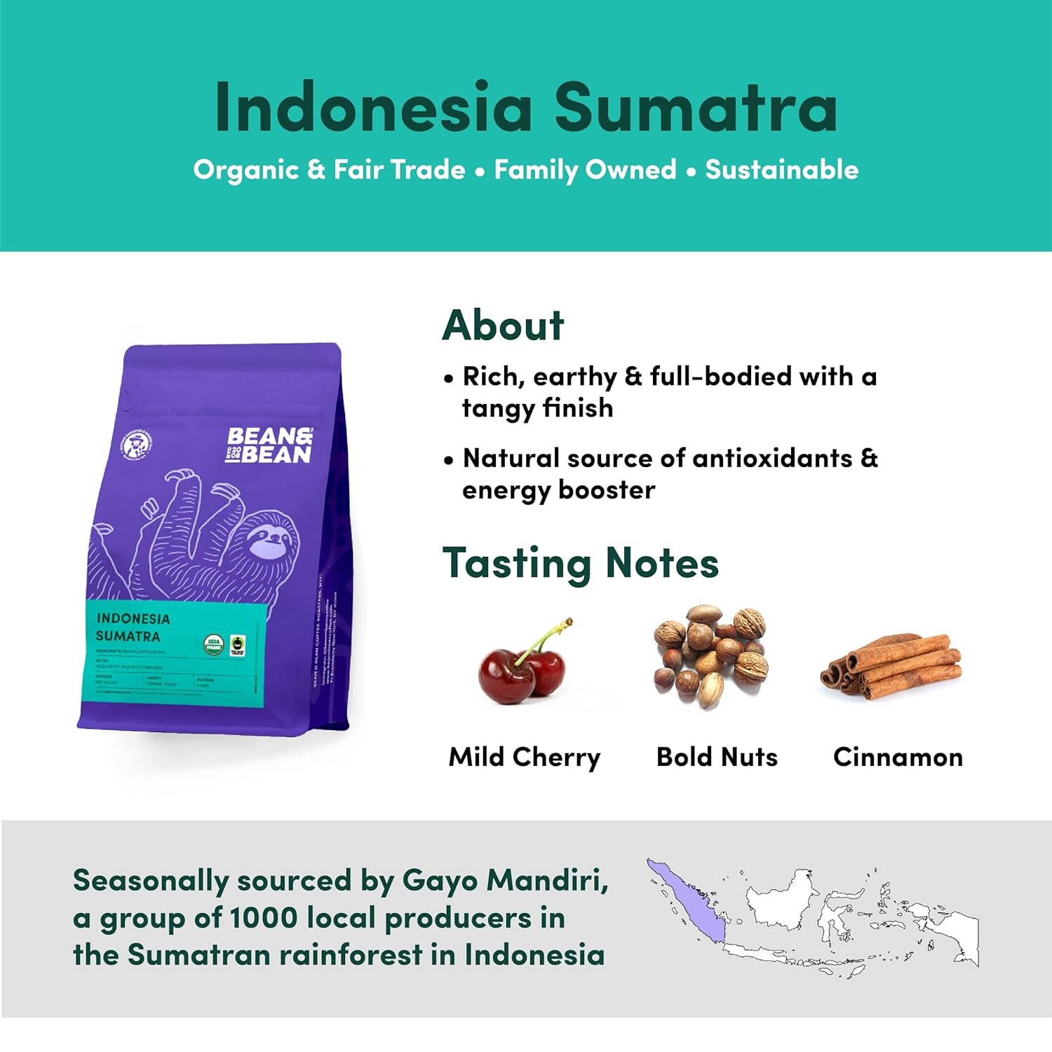 Bean & Bean Indonesia Sumatra Single Origin Coffee – Roasted to Order Indonesian Organic Coffee Beans – Full Bodied, Rich & Earthy Sumatra Coffee – Freshly Roasted Fair Trade Whole Bean Coffee, 11Oz